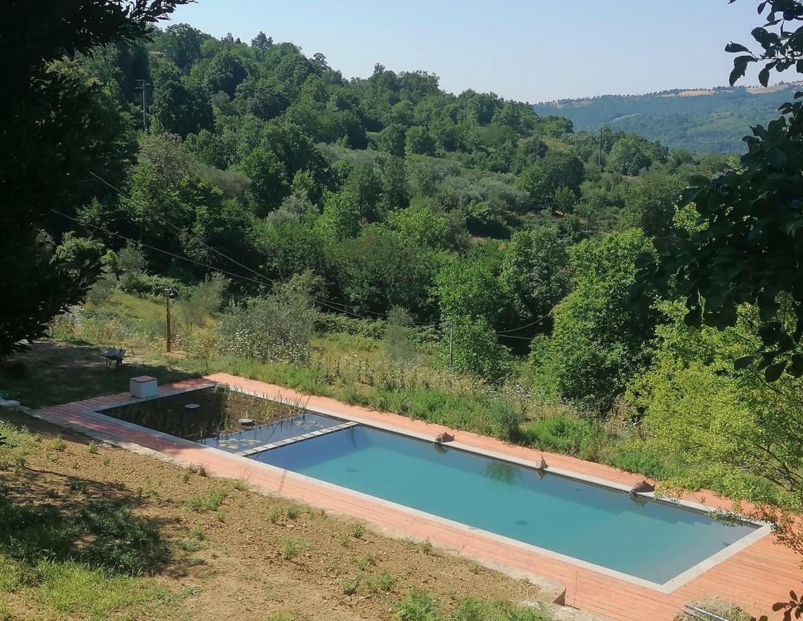 Podere Di Maggio - Glamping Tent 2 Santa Fiora Exterior photo