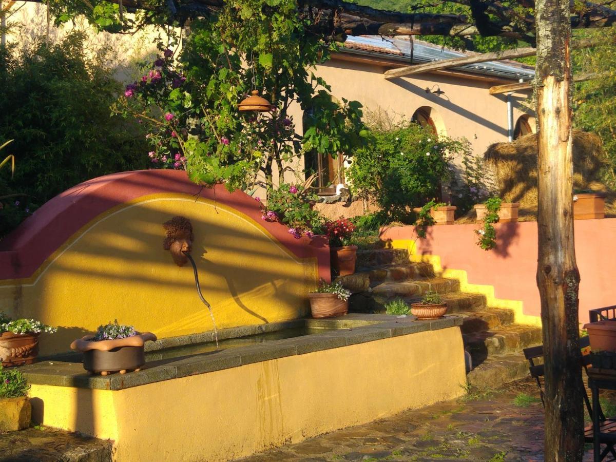 Podere Di Maggio - Glamping Tent 2 Santa Fiora Exterior photo