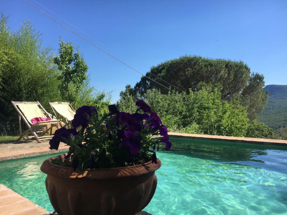 Podere Di Maggio - Glamping Tent 2 Santa Fiora Exterior photo