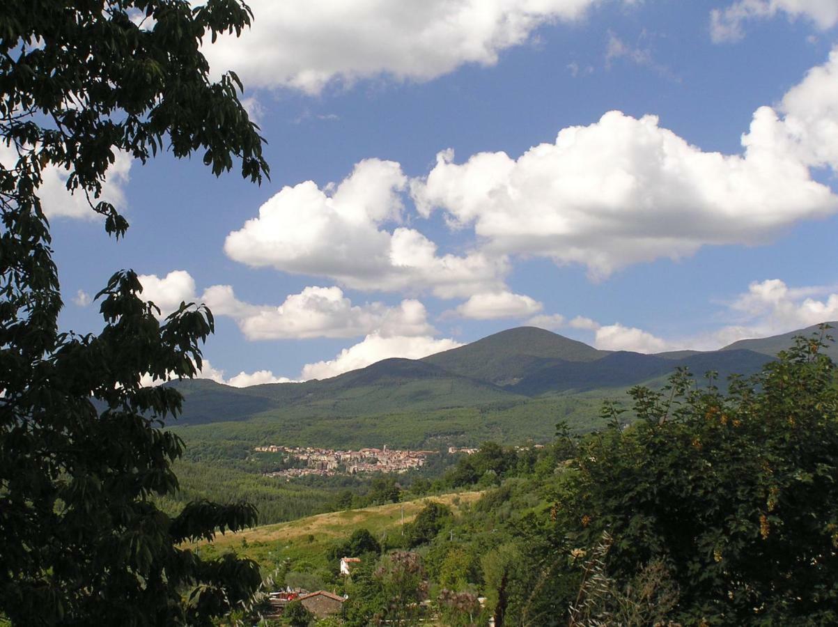 Podere Di Maggio - Glamping Tent 2 Santa Fiora Exterior photo